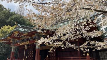 観光スポット / 6