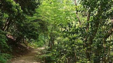 観光スポット / 7