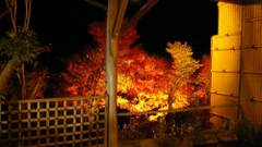 沢渡温泉 宮田屋旅館