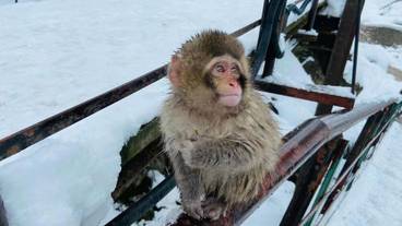 観光スポット / 5