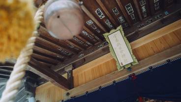 ランド ビュー / 24