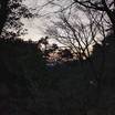 朝のお庭