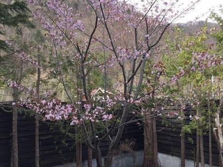 温泉旅館 錦和荘 / 4