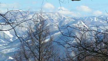 マウンテン ビュー / 26