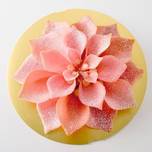 お花みたいなスイーツ♡ギフトにしたい東京のスイーツ6選