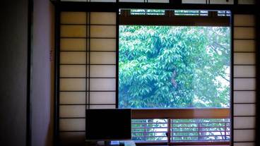 部屋からの景観 / 31