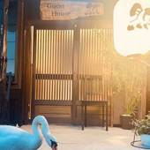 Guest House 然（山梨県 ゲストハウス・ホステル・ドミトリー） / 4