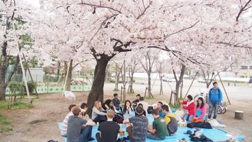 シアター ショー / 13