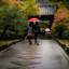 雨の日でも楽しもう！京都・おでかけスポットのおすすめ7選