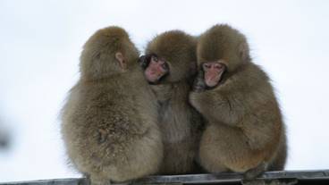 ハイキング / 13