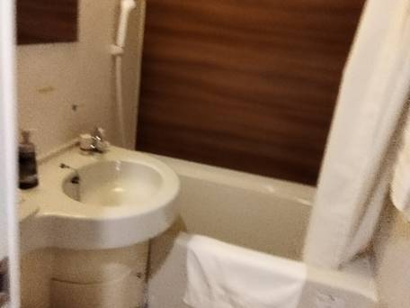 ホテルルートイン亀山インター / 4