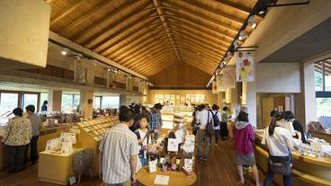 観光スポット / 10