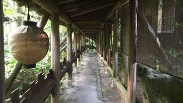 客室へのアプローチ / 8