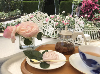 「プリエール」 料理 79137657 