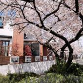 コンセプトハウス星田（大阪府 コテージ・ロッジ・一棟貸） / 4