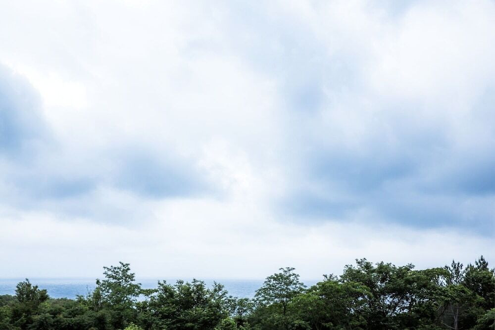 部屋からの景観