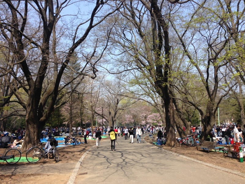 円山公園でのジンギスカンは手ぶらでもOK!7736