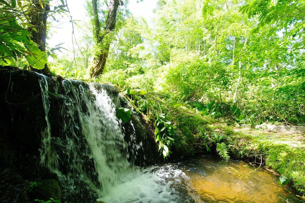 マウンテン ビュー