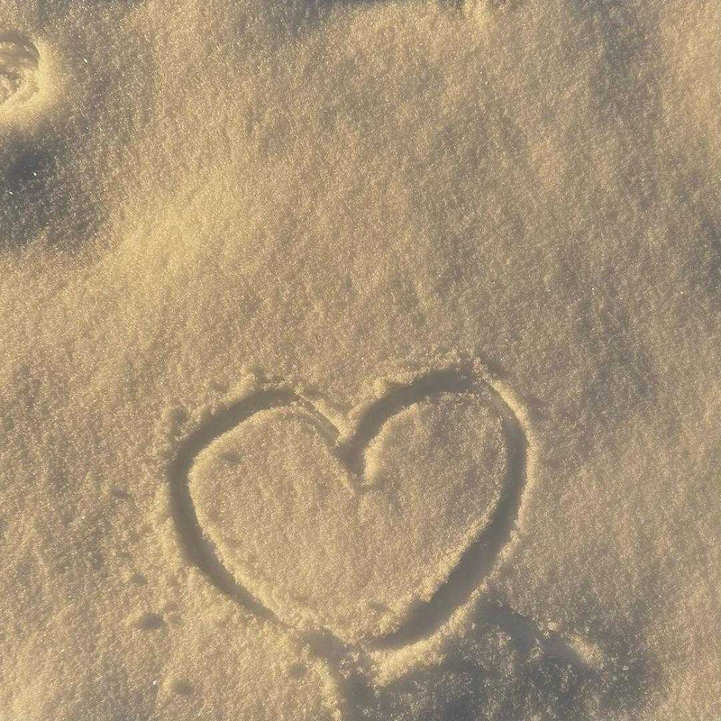 fjmtakn56さんの写真 / 2