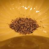 和カフェTsumugi ラスカ茅ヶ崎店（ワカフェツムギ）