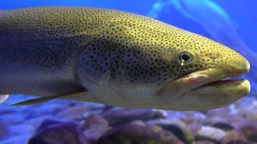 観光スポット / 8