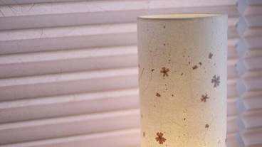 客室の設備とサービス / 27