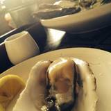 オーシャン ハーベスト ココモ（オーシャンハーベストココモ）