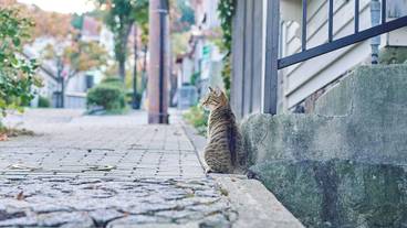 ランド ビュー / 5