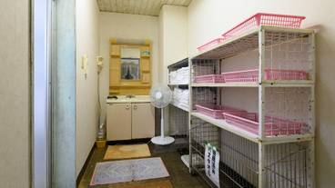 共用バスルーム / 34