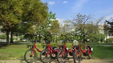 施設の敷地 / 21