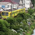 おしゃれスポットも豊富！千葉のローカル鉄道「流鉄流山線」でまったり♪