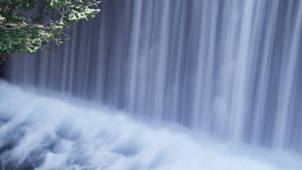 森林浴に出かけて
リフレッシュ / 2