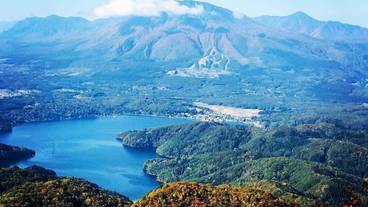 観光スポット / 14