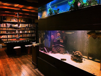 ユニークなスペースを楽しんで。3635963