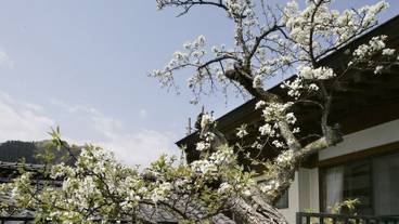 施設からの眺望 / 15