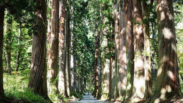 観光スポット / 20