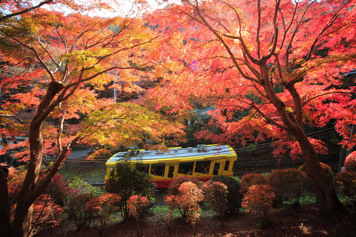 高尾山の紅葉とケーブルカー