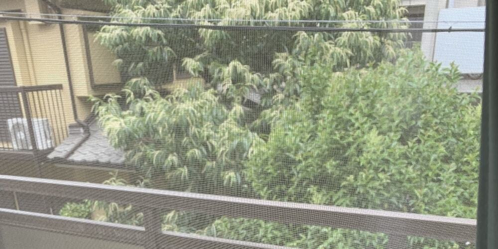 部屋からの景観