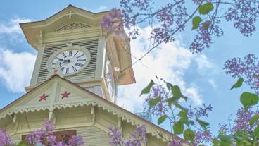 観光スポット / 12