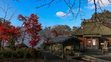 ランド ビュー / 34