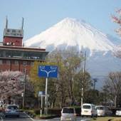 富士パークホテル(静岡県 ビジネスホテル) / 3