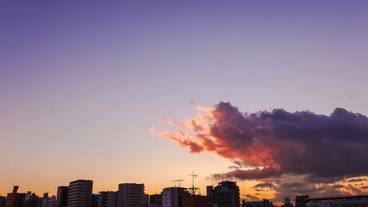 部屋からの景観 / 31