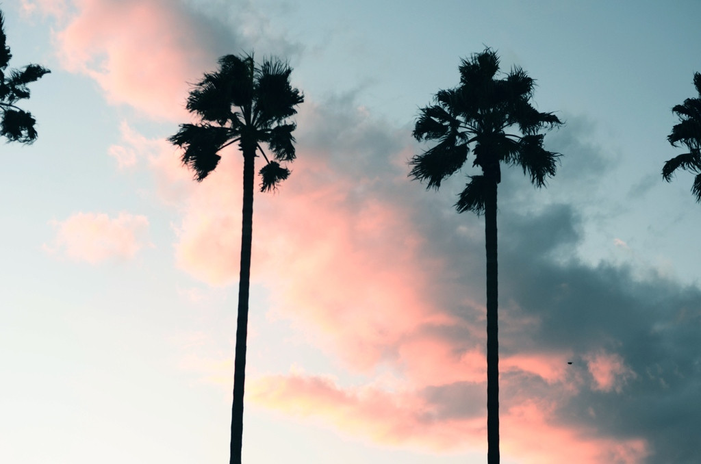 那覇への女子ひとり旅は、自由を貫いて。4378698