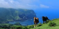 ホースセラピーで癒やしの女子旅へ。乗馬体験がかなうホテル・宿9選／全国