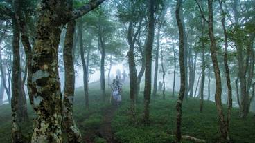 ランド ビュー / 12