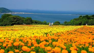 観光スポット / 13