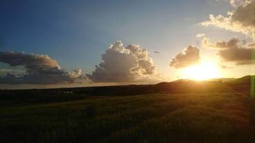 マウンテン ビュー / 7