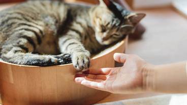 部屋からの景観 / 18