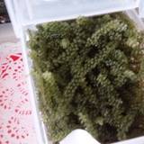 古宇利島市場（コウリシマイチバ）