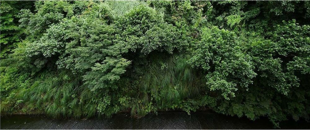 施設からの眺望